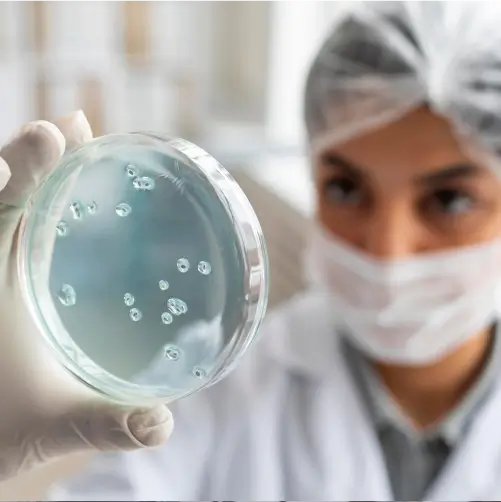 Curso de Microbiologia Veterinária
