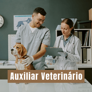 Auxiliar Veterinário