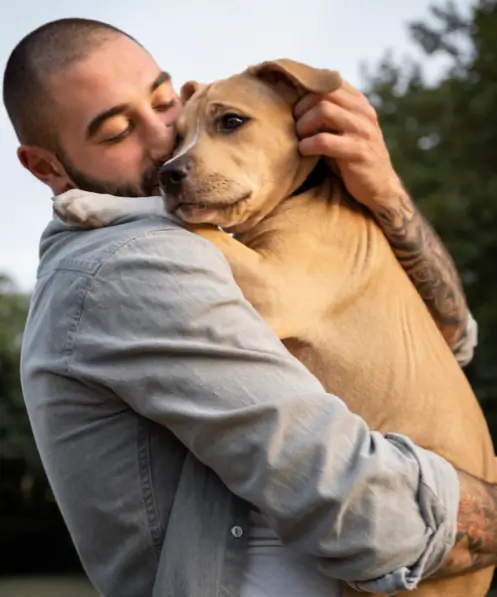 Outros Saúde Animal